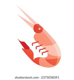 Vector shrimp drawing flat vector illustration white background.