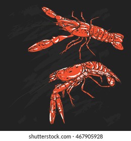 Vector shrimp drawing on a black background. Hand drawn monochrome seafood illustration. Great for menu, poster or label.