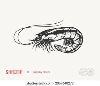 Vector shrimp flat style illustration. Seafood icon