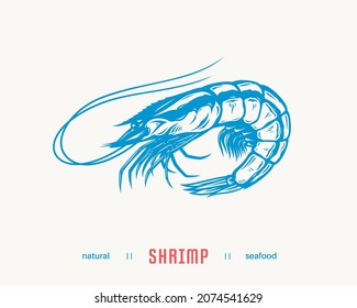 Vector shrimp flat style illustration. Seafood icon