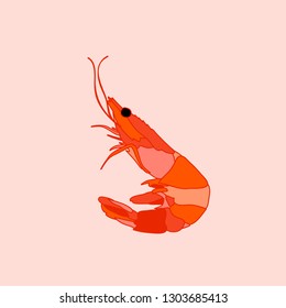 vector,  shrimp, food