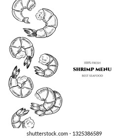 Vector shrimp hand drawn sketch .  Sketch vector  food illustration. Vintage style