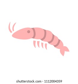 vector shrimp illustration - food sea restaurant, food nutrition