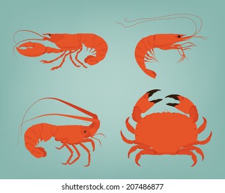 Vector shrimp, lobster, crab and spiny lobster  on simple background