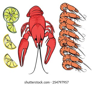 Vector Shrimp and Lobster set