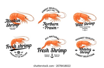 Vector shrimp logo and design elements, label templates and prawn icons