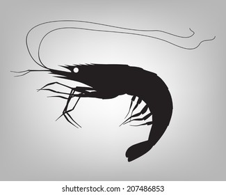 Vector Shrimp Silhouette On Simple Grey Background