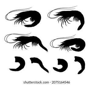 Vector shrimp silhouettes collection. Seafood icons