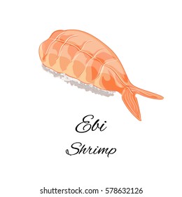 Vector shrimp sushi. Ebi. Isolated on white background