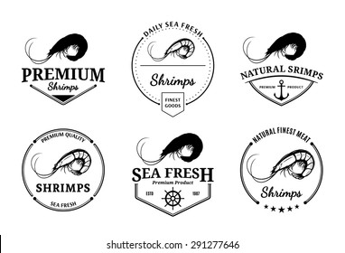 Vector shrimps design elements, label and icons.