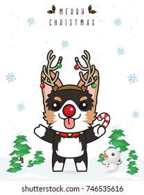 Vector of Siberian Husky cartoon in cute Christmas reindeer red nose costume , winter season , snowflake  and Christmas tree background