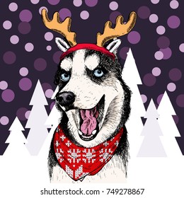 Vector siberian husky dog wearing reindeer antlers tiara and bandana. Isolated on snowy trees and sparklers. Sketched color illustration. Christmas, Xmas, New year. Party decoration, greeting card.