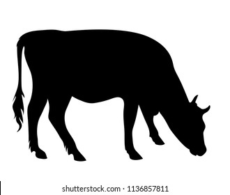 Vector side viea grazing cow silhouette