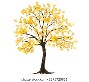 Vector side view ginkgo tree for environment scene in autumn,watercolor tree elevation for landscape concept,environment panorama scene,eco design