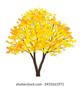Vector side view ginkgo tree for environment scene in autumn,watercolor tree elevation for landscape concept,environment panorama scene,eco design,meadow with grass 