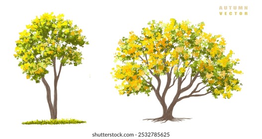 Vector side view ginkgo tree for environment scene in autumn,watercolor tree elevation for landscape concept,environment panorama scene,eco design,meadow with grass 