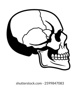 Vector Side View Skull Illustration Flash Tattoo Isolated
