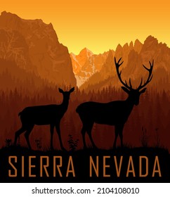 cordilleras vectoriales de Sierra Nevada con un par de ciervos de cola blanca