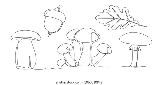 Vector sigle line forest art. Outline honey agaric, mushroom, oak leaves. Nature illustration for design