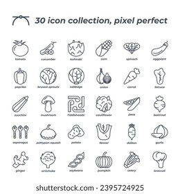 Vector sign of the veggies icon set isolated on a white background. symbol color editable.