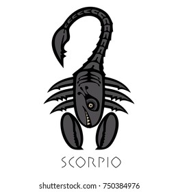 Vector sign of the zodiac. Scorpio in the form of funny monster in flat style. Icon for astrological horoscope
