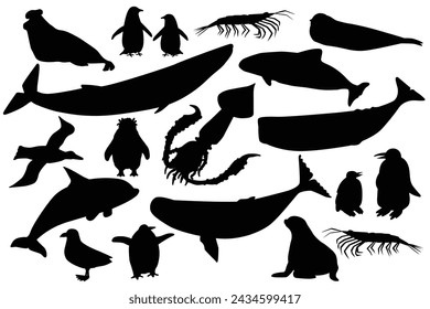 Vector silhouett shape black set of animals in Antarctica. Hand drawn collection of whales, penguins, skua, krill, seals, porpoise.
Isolated icon illustrations on white background