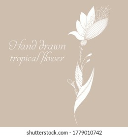 Vector silhouette of abstract hand drawn tropical flower. Floral illustration in sketch style. Summer background with tropical flower for travel or t shirt. Isolated