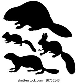 vector silhouette animal on white background