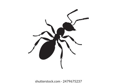 vector silhouette of an ant