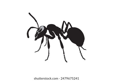 vector silhouette of an ant