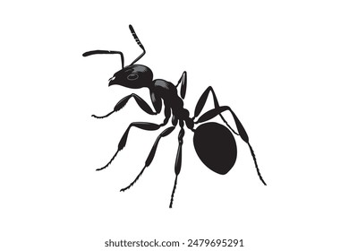 vector silhouette of an ant