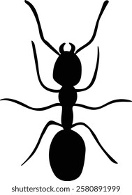 vector silhouette of an ant