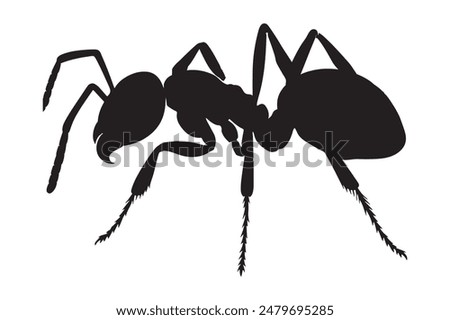 vector silhouette of an ant