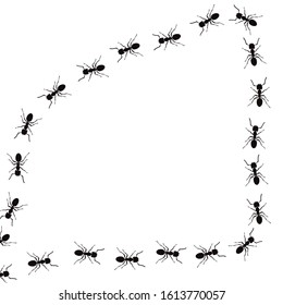 Vector silhouette of ant on white background. Symbol of insect walk line.