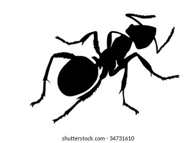vector silhouette ant on white background