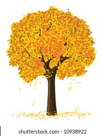 vector silhouette of autumn season yellow tree isolated on the white background