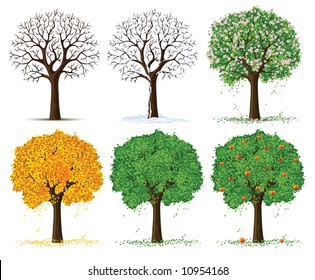 vector silhouette of autumn, spring, summer and winter season tree isolated on the white background