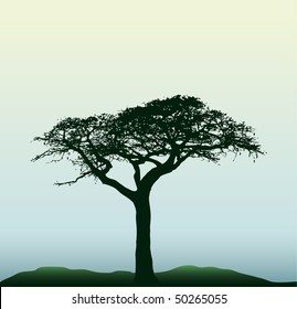 vector silhouette of the baobab tree