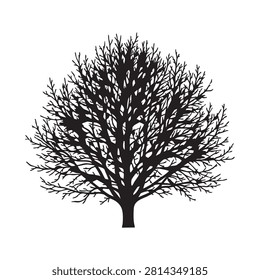 Vector silhouette of a bare, leafless tree, showcasing its intricate network of branches. This black graphic is ideal for winter scenes, autumn themes, and representing dormant nature. Perfect for environmental designs, seasonal art, or stark landscape illustrations.