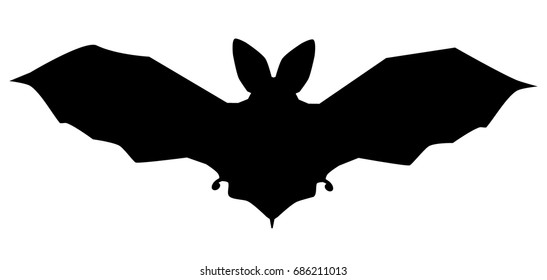 Vector silhouette of bat.