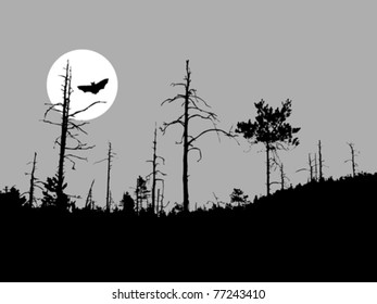 vector silhouette bat on moon background