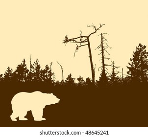 vector silhouette bear