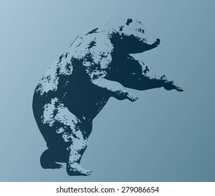 Vector silhouette bear isolated
