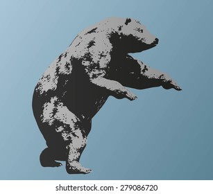 Vector silhouette bear isolated