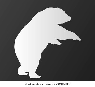 Vector silhouette bear isolated