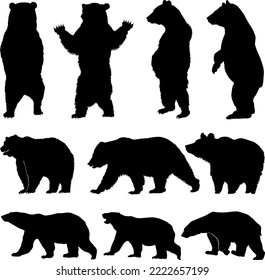 Vector silhouette bear, various bear silhouettes on the white background, Brown grizzly bear and polar bear silhouette set svg