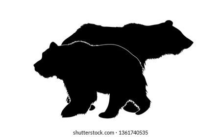Vector silhouette of bears. Symbol of animal and wild.