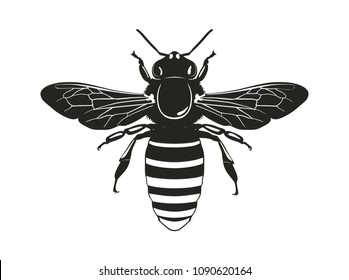 Vector silhouette bee isolated on a white background. Flying insect.