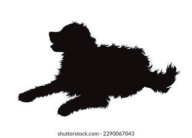 Vector silhouette of Bernese Mountain Dog on white background. Symbol of dog and pet.
