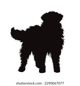 Vector silhouette of Bernese Mountain Dog on white background. Symbol of dog and pet.